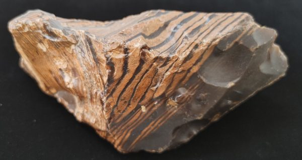 Wyoming Zebra Stromatolite #37