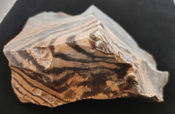 Wyoming Zebra Stromatolite #37 - Image 3