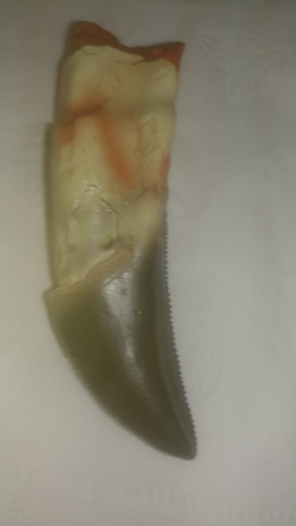 Replica Tarbosaurus Tooth - Image 2