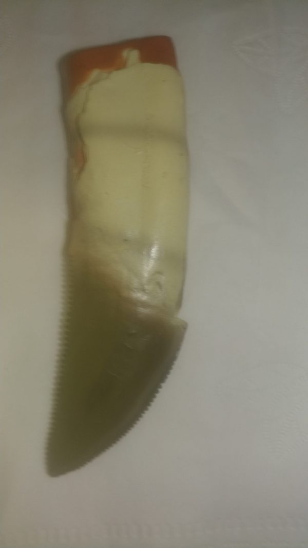 Replica Tarbosaurus Tooth