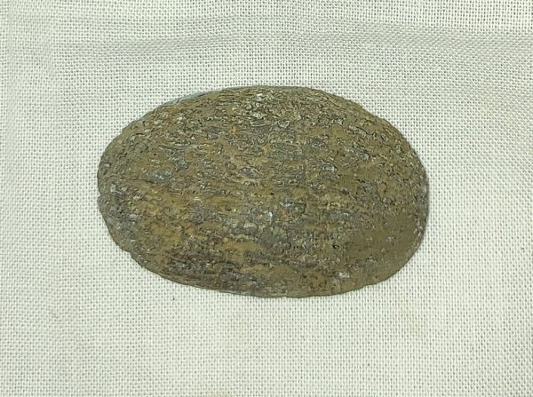 Iguanodon Bone #13 - Image 2