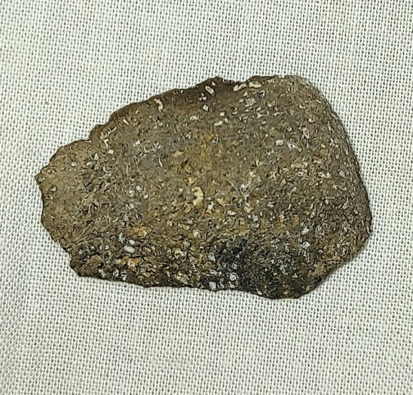 Iguanodon Bone #9 - Image 2