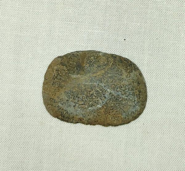 Iguanodon Bone #10 - Image 2