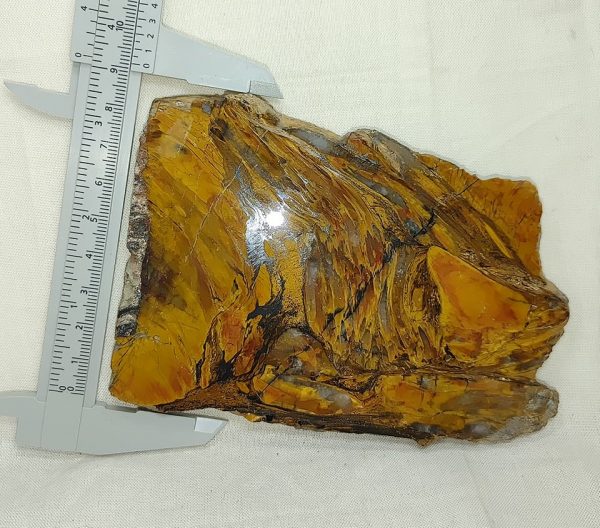 Binghamite Agate Slab #5 - Image 4