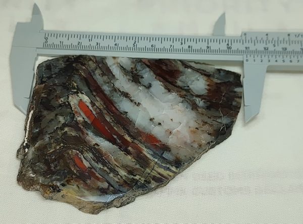 Binghamite Agate Slab #3 - Image 3