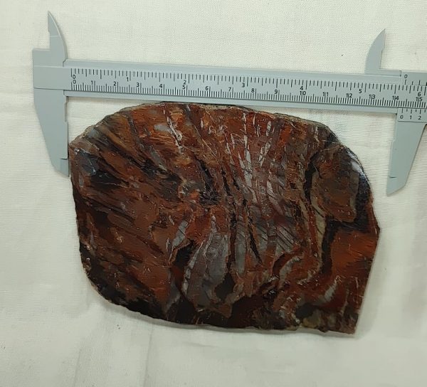 Binghamite Agate Slab #4 - Image 3