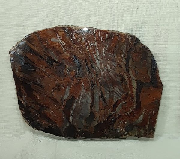 Binghamite Agate Slab #4