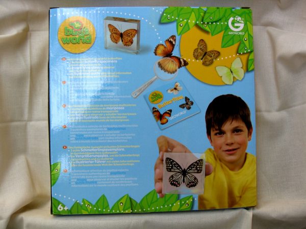 3 Genuine Butterfly Collection - Image 2