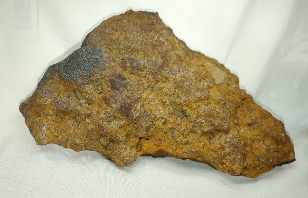 Genuine Cambrian Age Anerobic Stromatolite Fossils for Sale from WI #2a