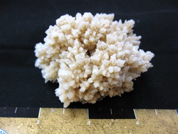 N. Africa Calcite Mineral Specimen #10