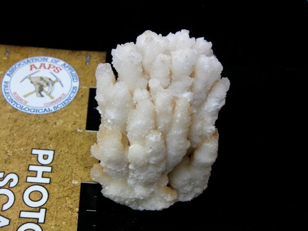 N. Africa Calcite Mineral Specimen #2