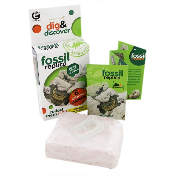 Dig & Discover Fossil Replica Excavation Kit For Sale-2