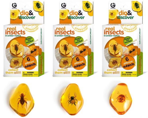 Dig & Discover Real Insects Excavation Kit For Sale