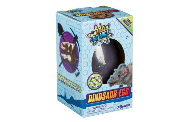 Dinosaur Excavation Egg