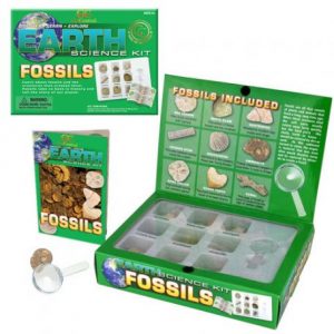 Fossils Earth Science Kit