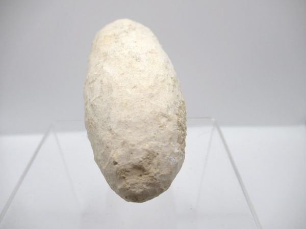 Fossil Crocodile Egg from France #38 - Image 4