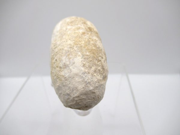 Fossil Crocodile Egg from France #43 - Image 3