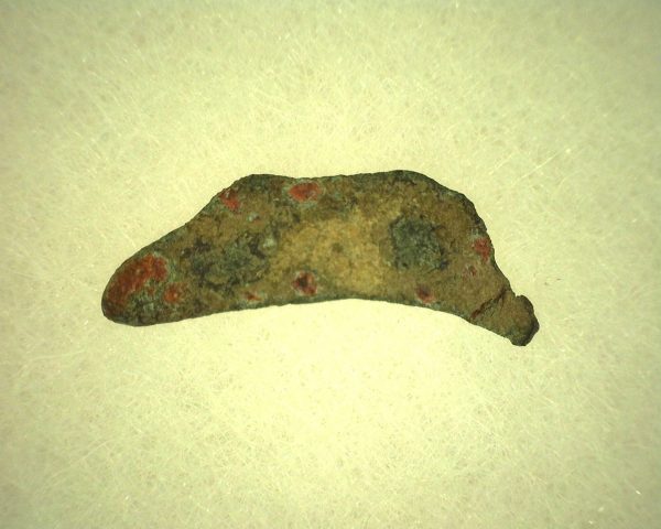 Genuine 500 – 400 BC in Age Ancient Greek Dolphin Coin From Olbia For Sale #12b