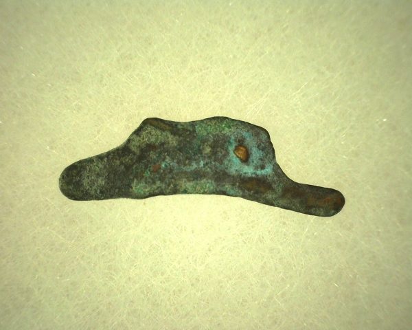 Genuine 500 – 400 BC in Age Ancient Greek Dolphin Coin From Olbia For Sale #16a