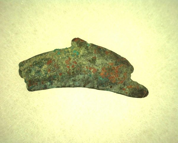 Genuine 500 – 400 BC in Age Ancient Greek Dolphin Coin From Olbia For Sale #1a