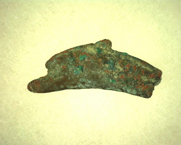 Genuine 500 – 400 BC in Age Ancient Greek Dolphin Coin From Olbia For Sale #1b