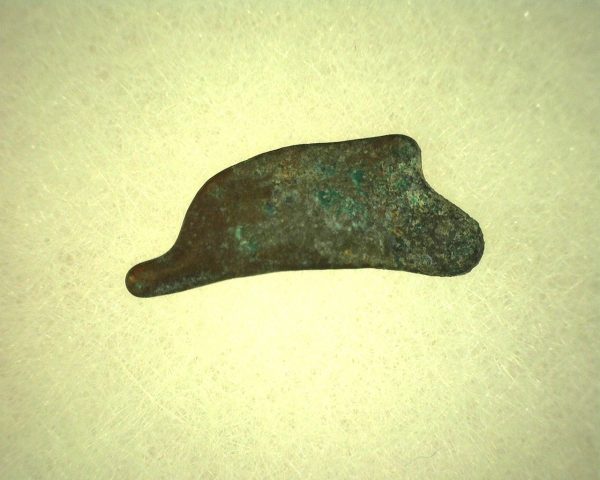 Genuine 500 – 400 BC in Age Ancient Greek Dolphin Coin From Olbia For Sale #20b