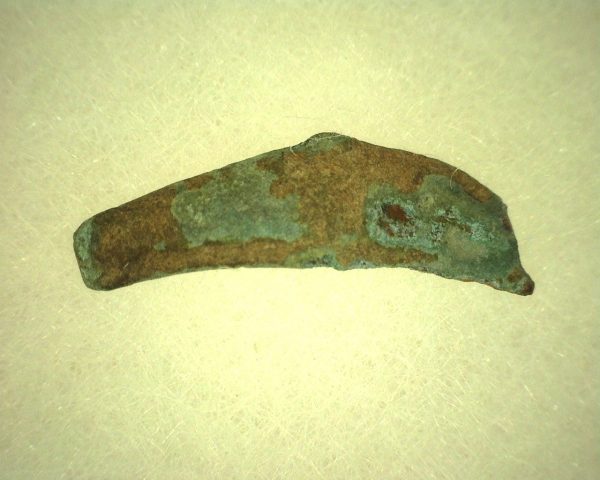 Genuine 500 – 400 BC in Age Ancient Greek Dolphin Coin From Olbia For Sale #3a