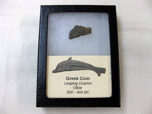 Genuine 500 – 400 BC in Age Ancient Greek Dolphin Coin From Olbia For Sale #8