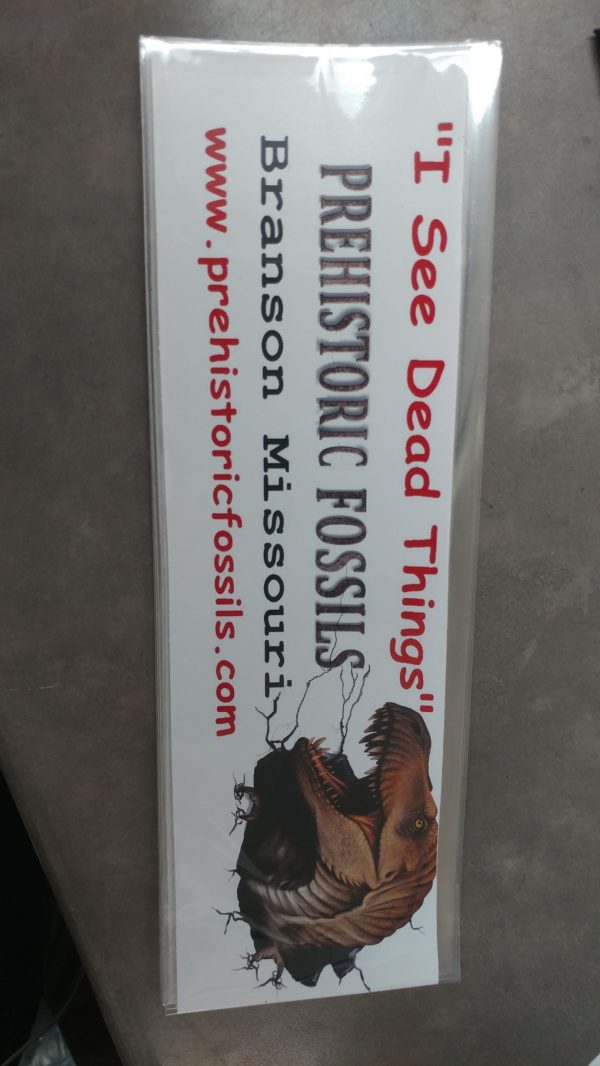 Prehistoric Fossils Bumper Stickers - Image 2