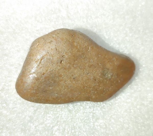 Large Dinosaur Gastrolith “Gizzard Stone” #7