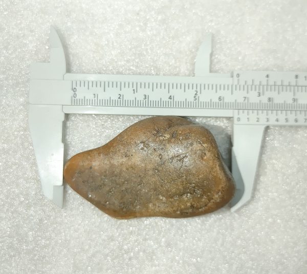 Large Dinosaur Gastrolith “Gizzard Stone” #7 - Image 3