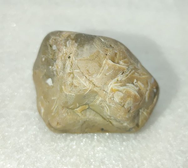 Medium Dinosaur Gastrolith “Gizzard Stone” #2