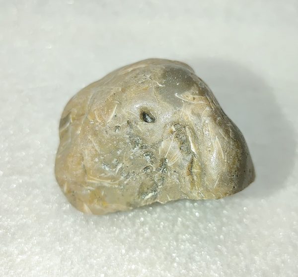 Medium Dinosaur Gastrolith “Gizzard Stone” #2 - Image 2