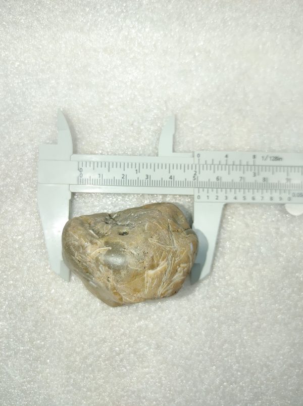 Medium Dinosaur Gastrolith “Gizzard Stone” #2 - Image 3