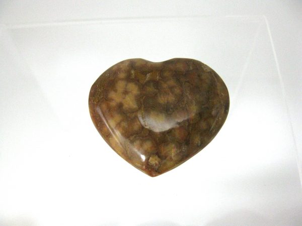 Genuine Ocean Jasper Metaphysical Polished Mineral Heart from Madagascar for Sale #9