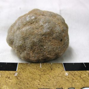 Genuine Cretaceous Age Barite Stromatolite Fossils for Sale from Morocco #1