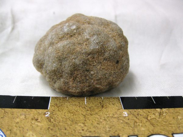 Genuine Cretaceous Age Barite Stromatolite Fossils for Sale from Morocco #1