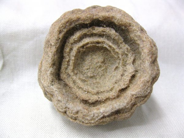 Genuine Cretaceous Age Barite Stromatolite Fossils for Sale from Morocco #1b