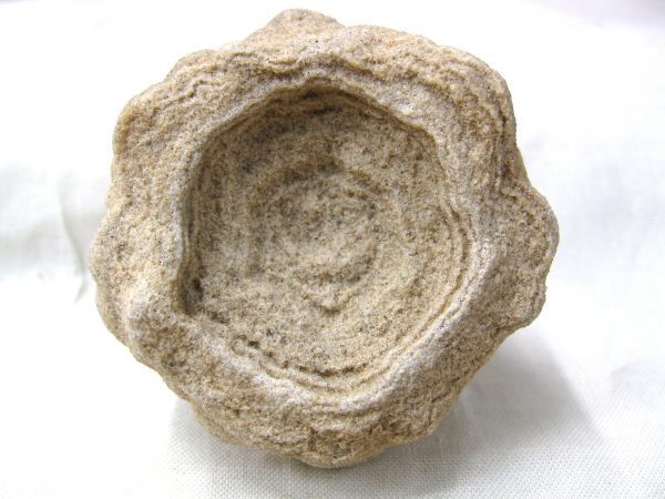 Genuine Cretaceous Age Barite Stromatolite Fossils for Sale from Morocco #4b