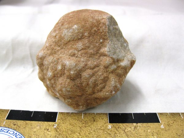 Genuine Cretaceous Age Barite Stromatolite Fossils for Sale from Morocco #5