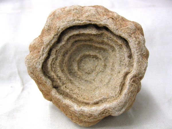 Genuine Cretaceous Age Barite Stromatolite Fossils for Sale from Morocco #5b