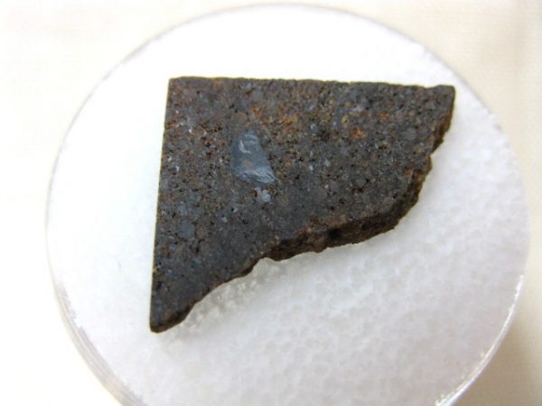 Meteorite Thin Slice in Gem Jar #31