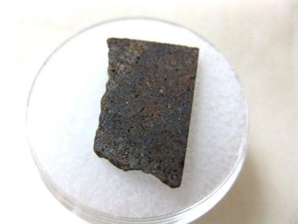 Meteorite Thin Slice in Gem Jar #34