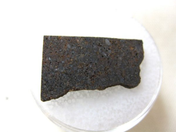 Meteorite Thin Slice in Gem Jar #36