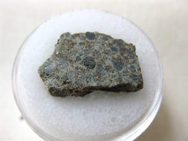 Meteorite Thin Slice in Gem Jar #37