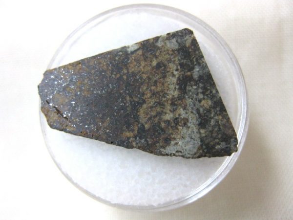 Meteorite Piece in Gem Jar #42