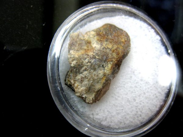 NWA #869 Meteorite Frame #1 - Image 2