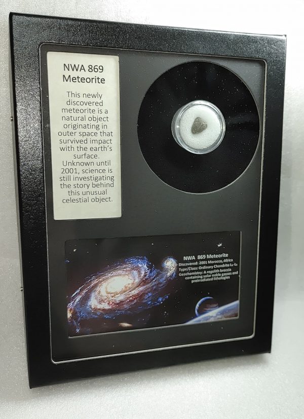 NWA #869 Meteorite Frame For Sale #4