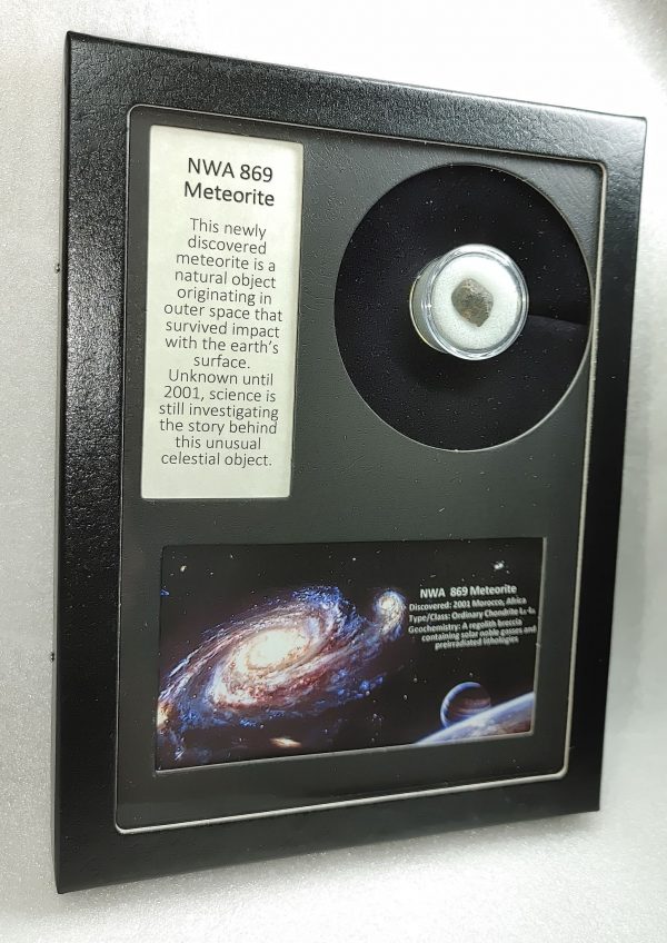 NWA #869 Meteorite Frame For Sale #5