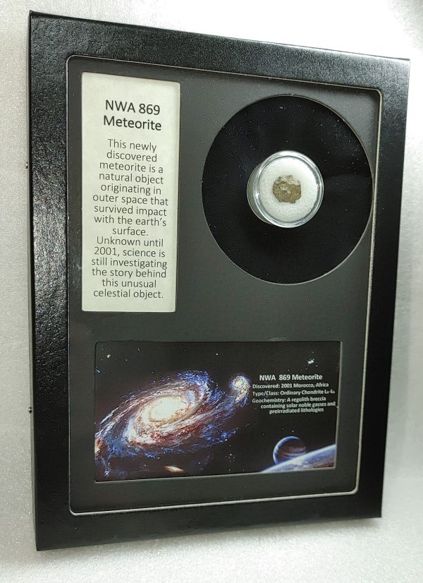 NWA #869 Meteorite Frame For Sale #8